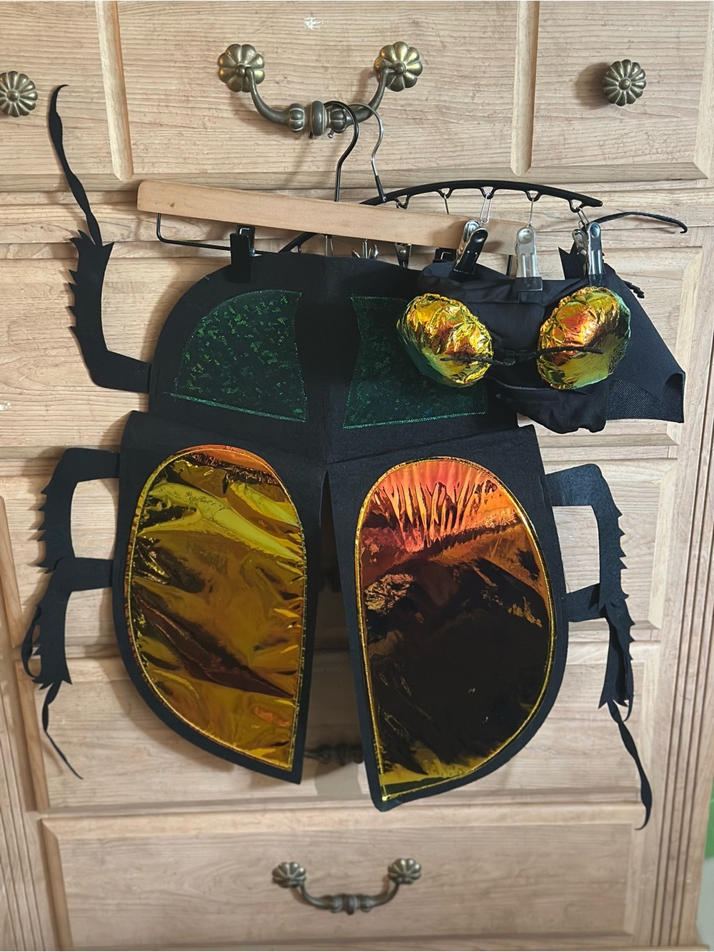 Beetle Bug Costume Dress Up Accessories | Hat Eyes & Beetle Straps | Size Large